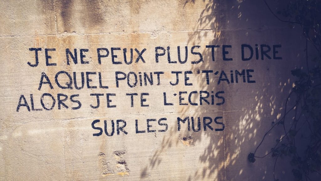 Que faire quand on croise un patou
